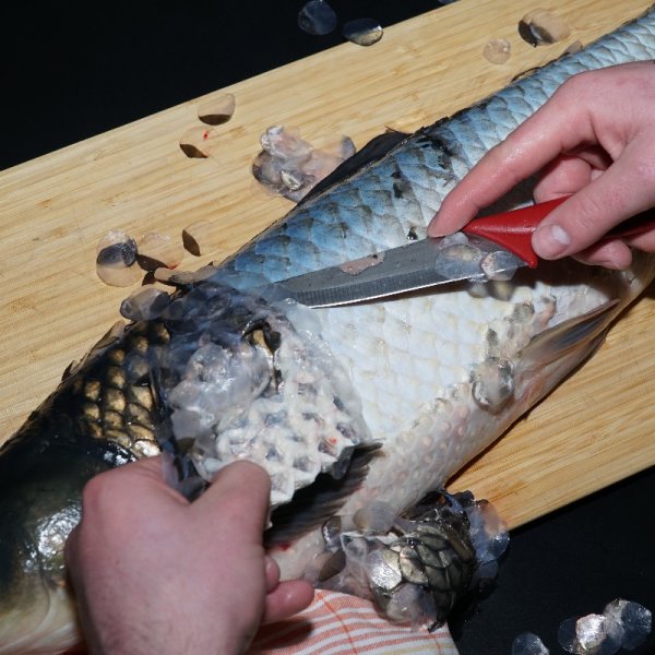Jak správně odstranit rybí šupiny