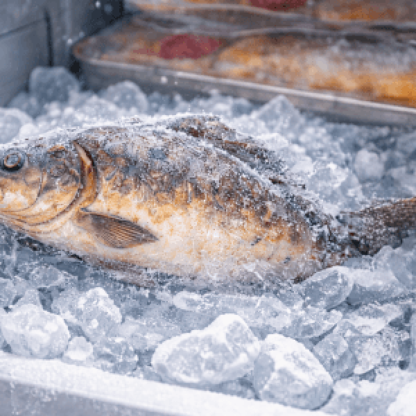 Rozmrazování ryb krok za krokem: co dělat a čemu se vyhnout