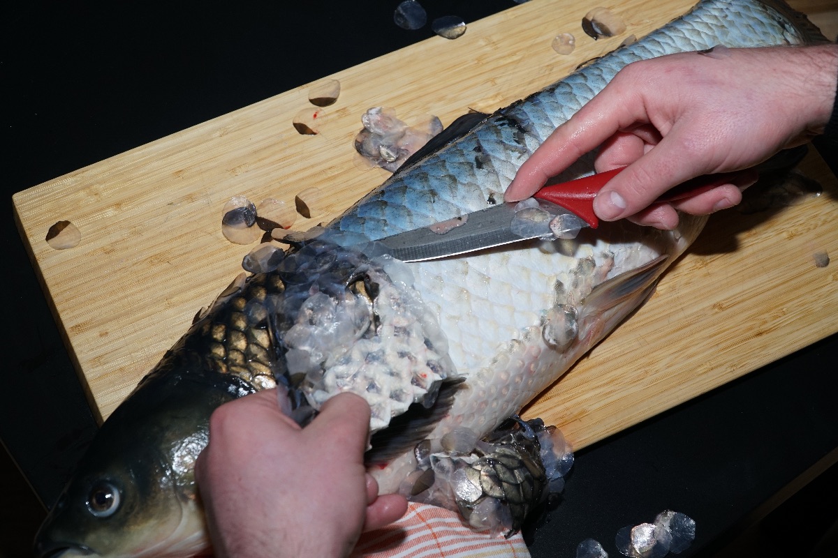 Jak správně odstranit rybí šupiny