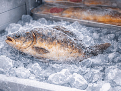 Rozmrazování ryb krok za krokem: co dělat a čemu se vyhnout